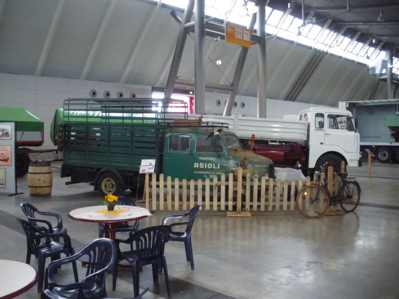 IMGP6017.jpg
