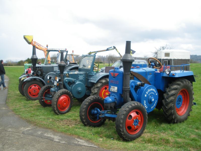 IMGP6476.jpg