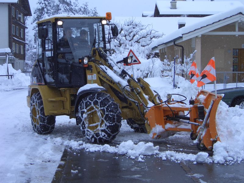 Cat3.jpg
