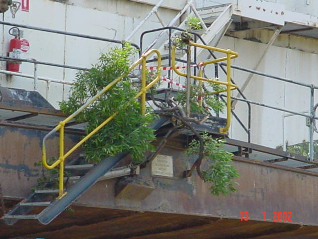 DSC00273.jpg