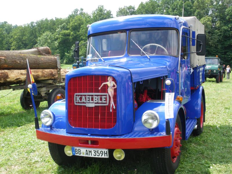 IMGP7394.jpg