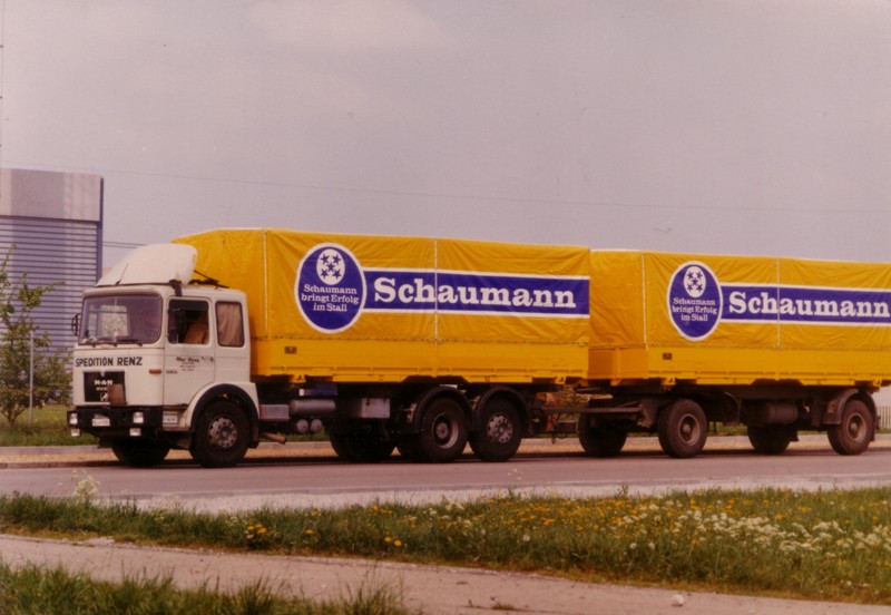 Renz F8 Schaumann Brücken.jpg