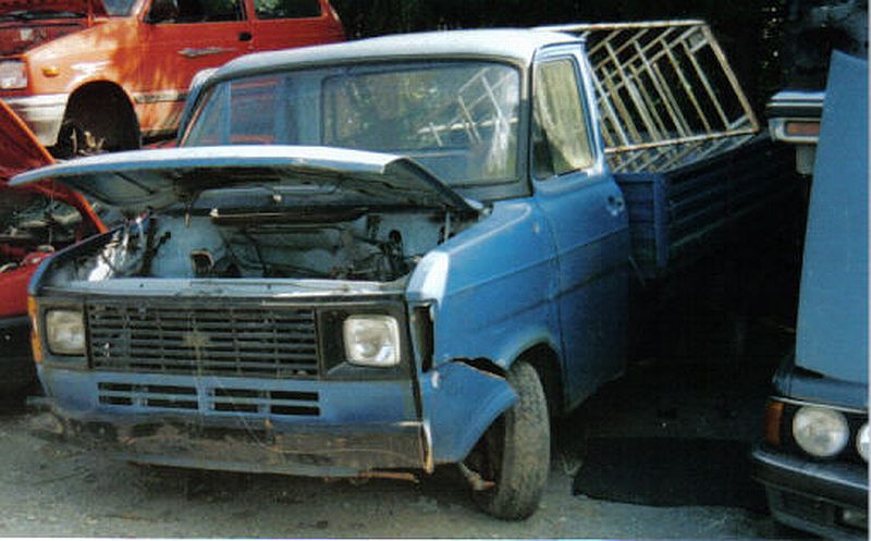 Langg&ouml;ns 10.jpg