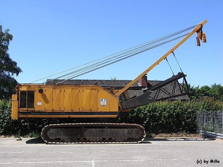 RIMG0128.jpg