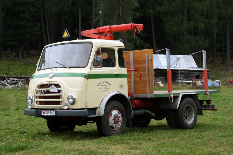 a_steyr8.jpg