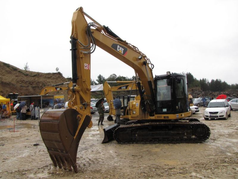 cat sutaz 2010 (30).jpg