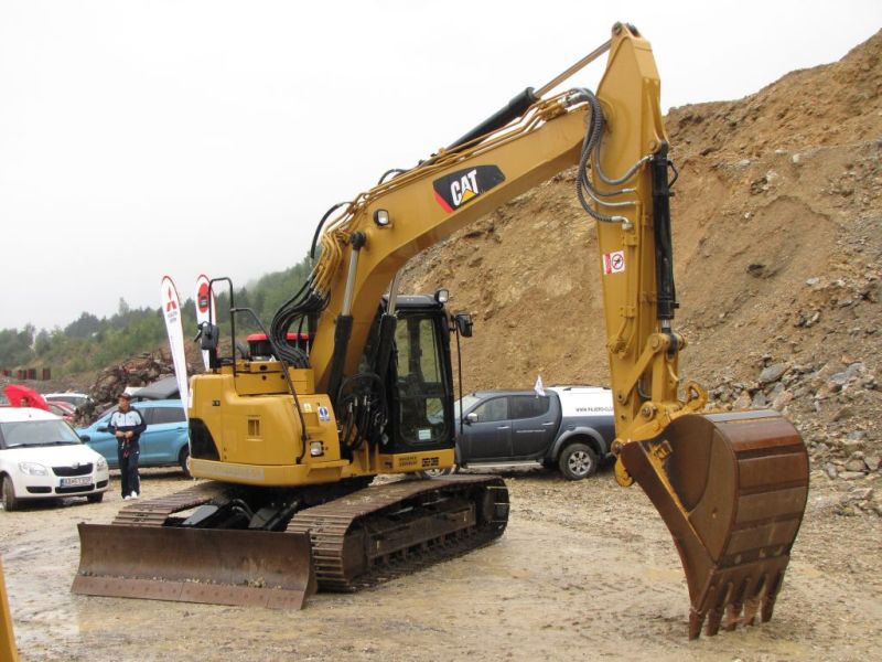 cat sutaz 2010 (31).jpg