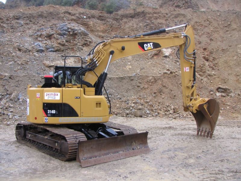 cat sutaz 2010 (32).jpg