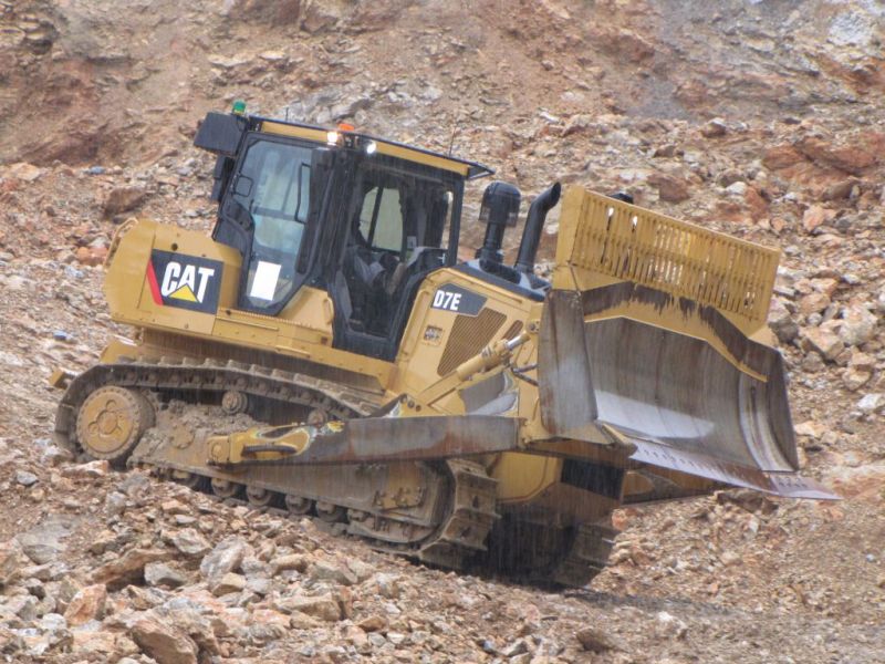 cat sutaz 2010 (15).jpg