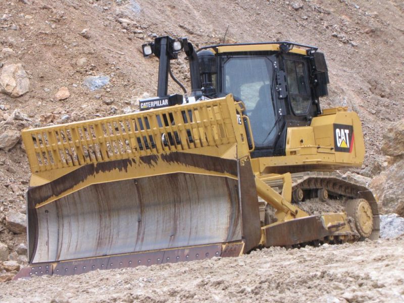 cat sutaz 2010 (16).jpg