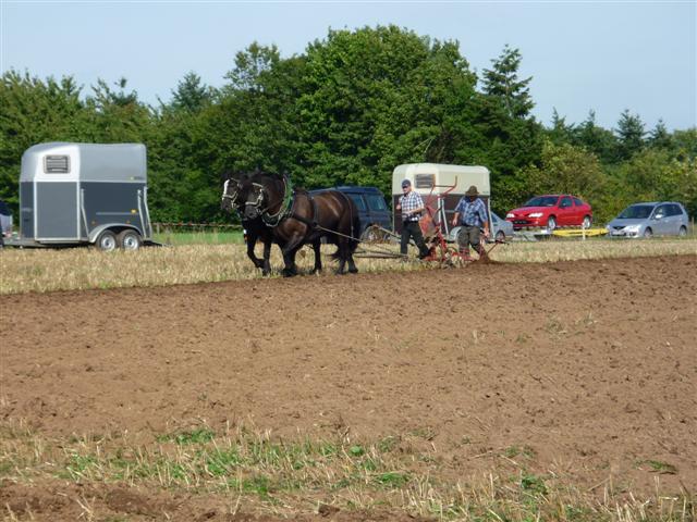 P1020752 (Small).jpg