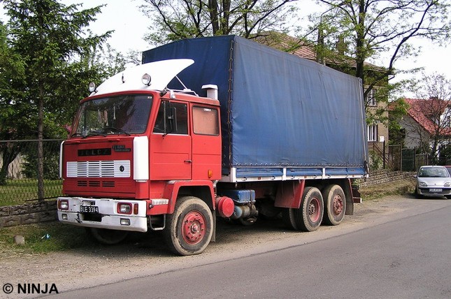 jelczs4166x201rq1.jpg