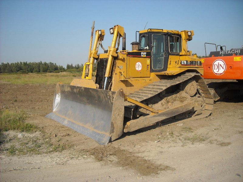 JDN D 7 R (1).jpg