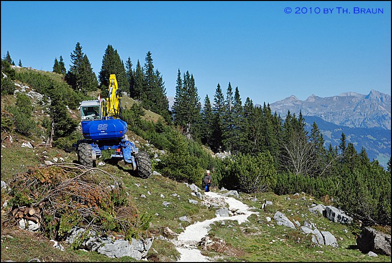 DSC_3711.jpg