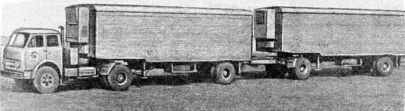 Maz504alka.jpg