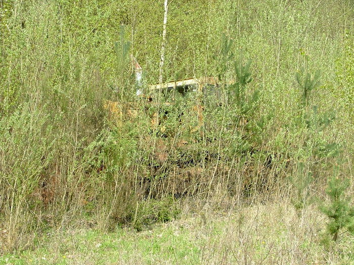 DSCF6568_Bildgröße ändern_Bildgröße ändern.jpg
