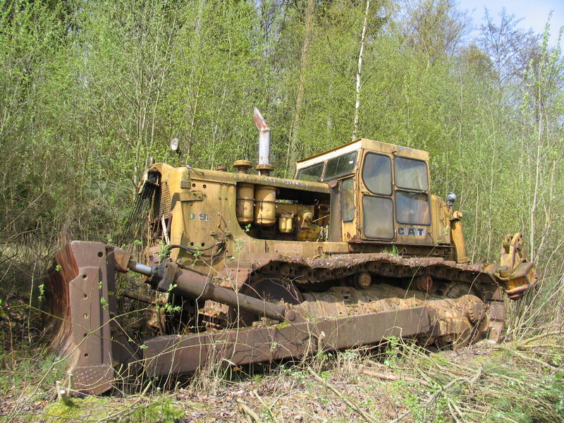 IMG_9339.jpg
