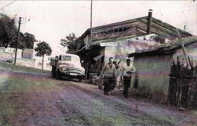 alt19.jpg