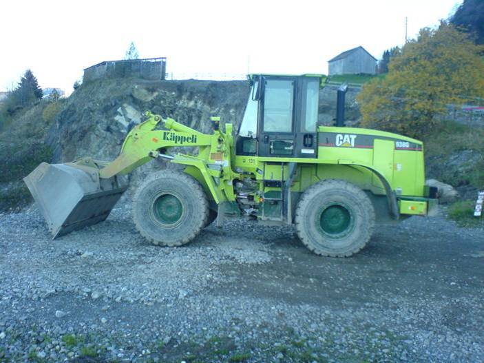 Cat938G.jpg