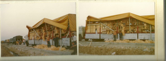 Orient-trucking mam Sepp-Jean Rischette (27)_1.jpg