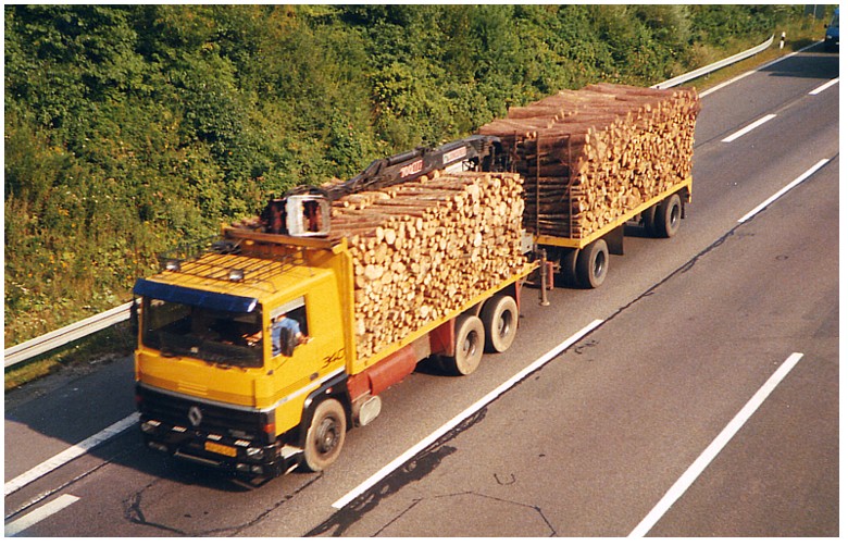 Renault Holz NL.jpg