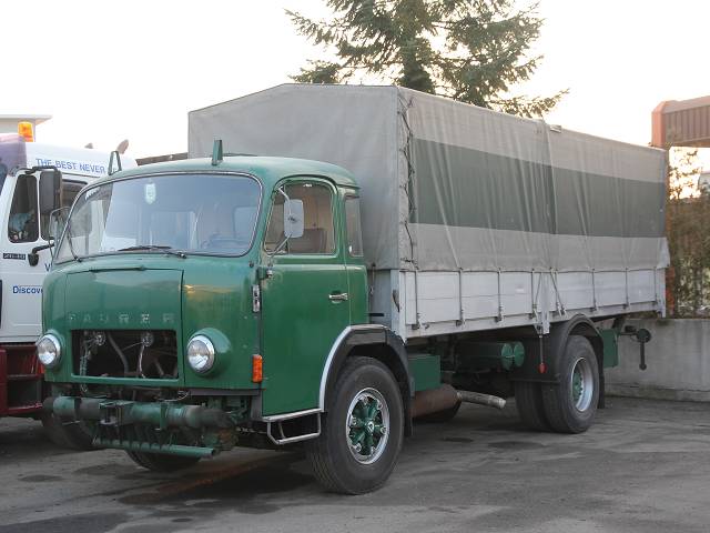 5DF SAurer.jpg