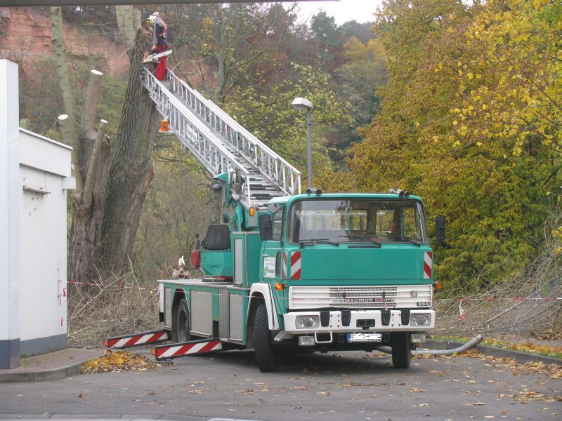 X Magirus.jpg