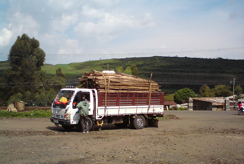 DSC00071.jpg