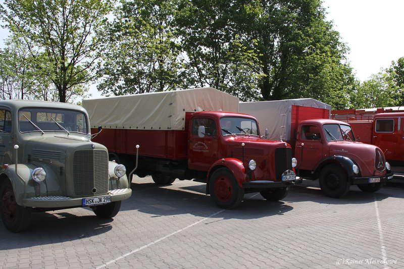 forum_IMG_1384_800.jpg