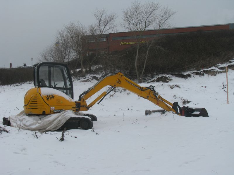 JCB 8052.jpg