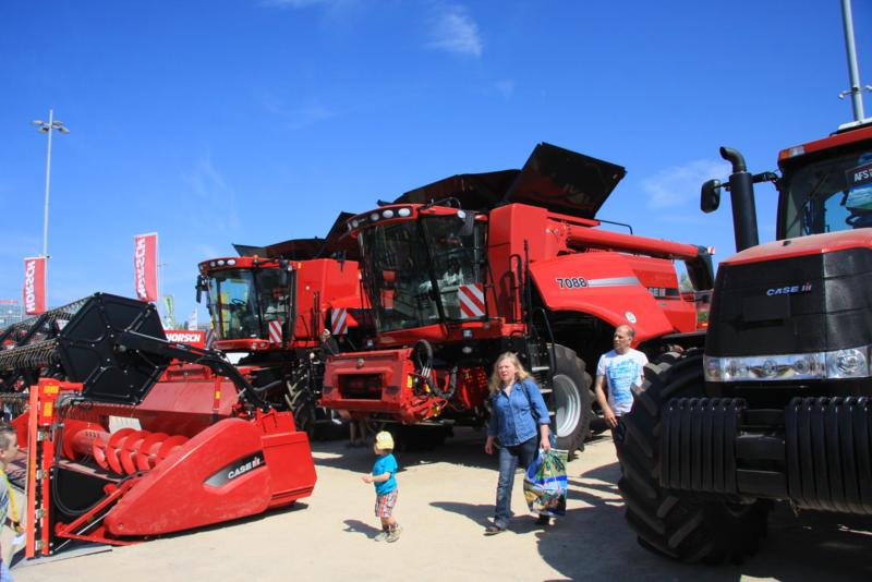 IMG_8726_800x534.jpg