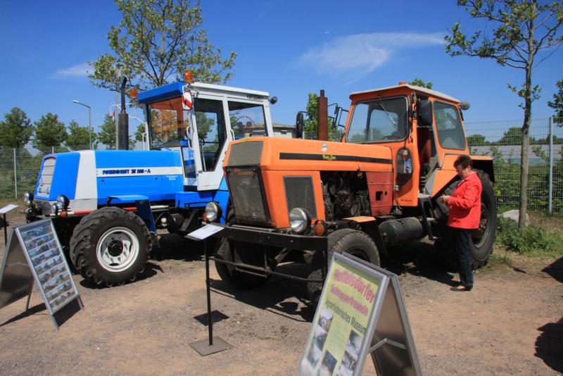 IMG_8761_800x534.jpg