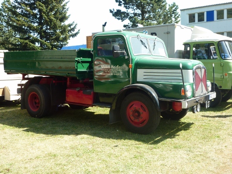 P1010484 (480x360).jpg