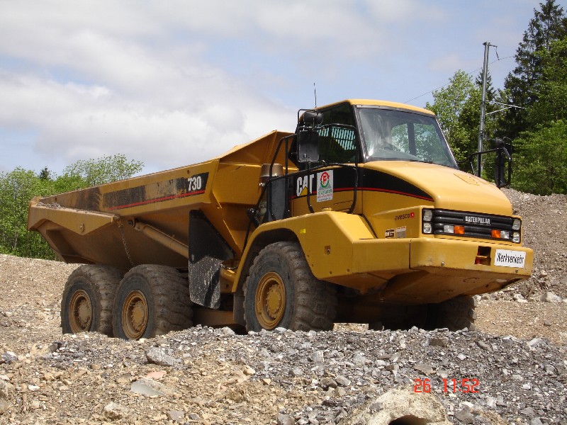 Cat 730.jpg