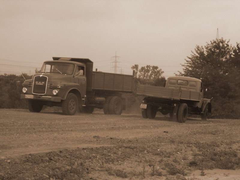 w1 6-2009.jpg