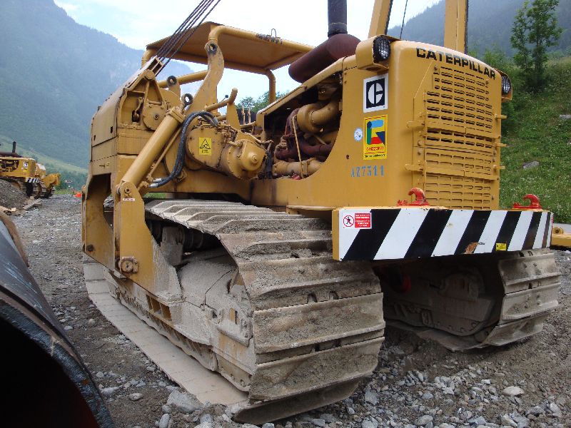 cat 594  (5).jpg