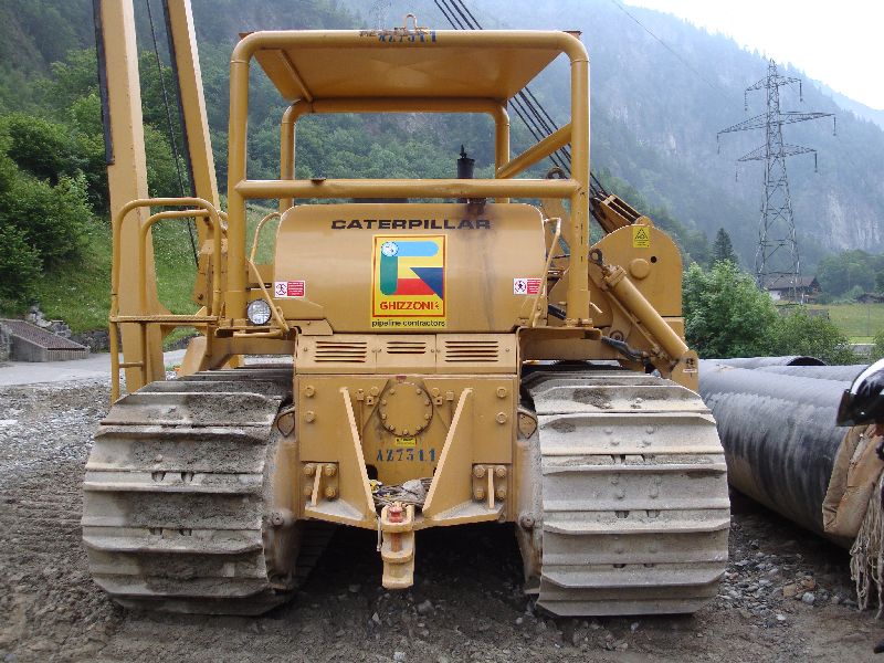 cat 594  (6).jpg