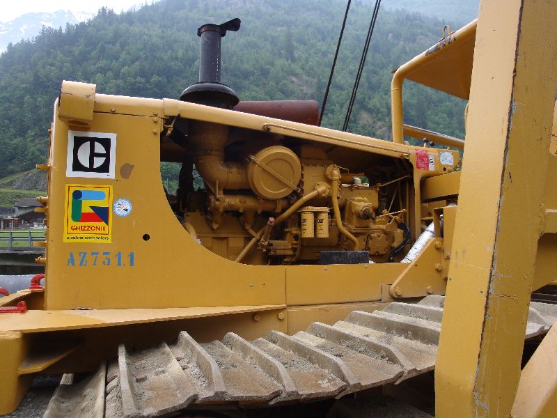 cat 594  (7).jpg