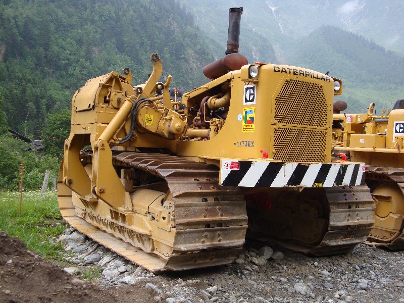 cat 594  (10).jpg