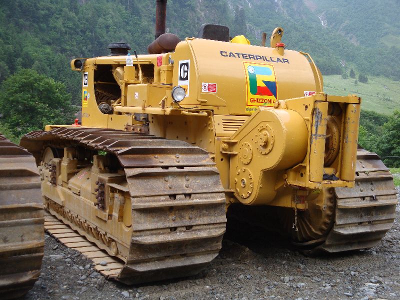 cat 594  (13).jpg