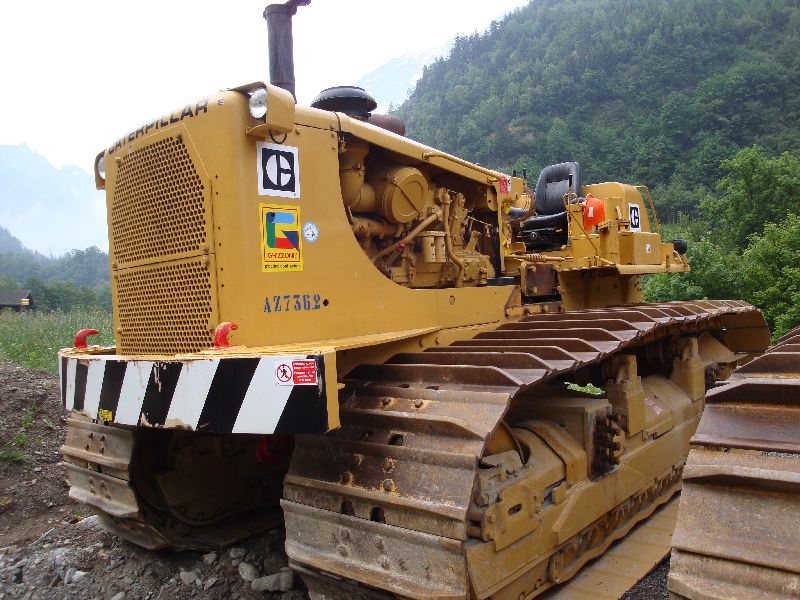 cat 594  (14).jpg