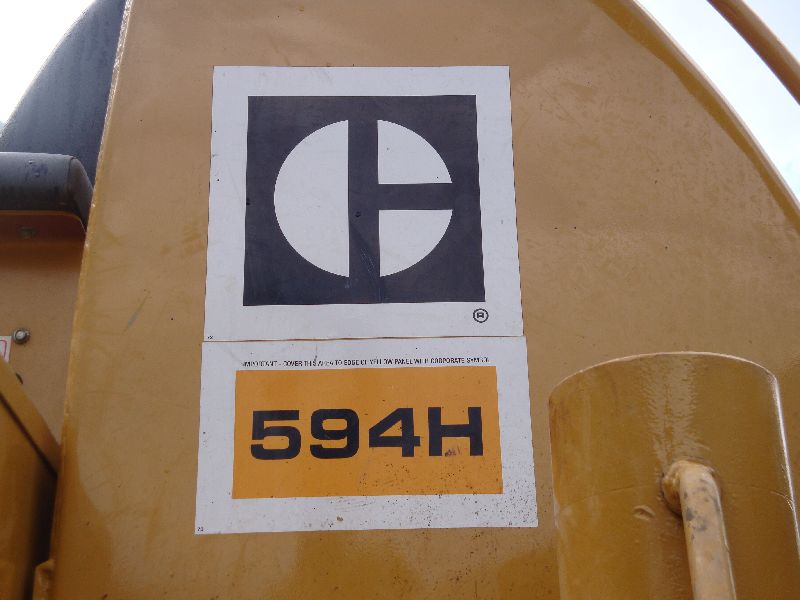 cat 594  (16).jpg