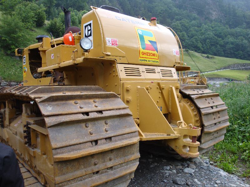 cat 594  (17).jpg