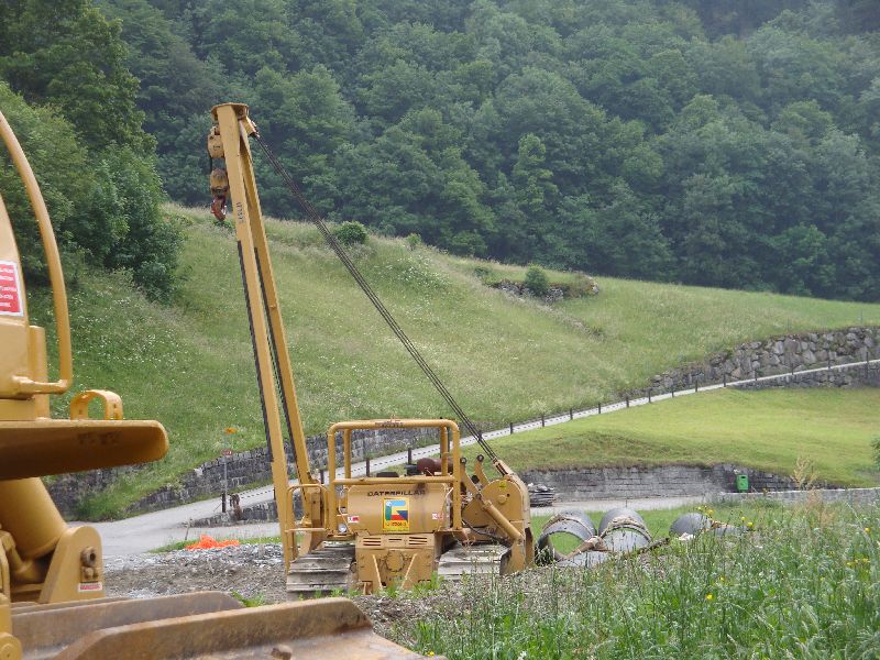 cat 594  (18).jpg