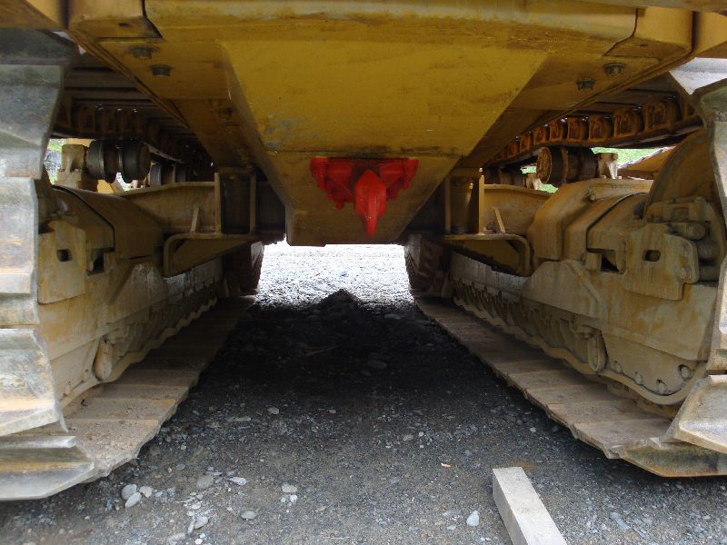 cat 594  (19).jpg
