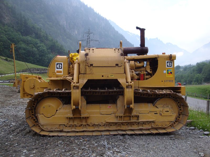 cat 594  (22).jpg