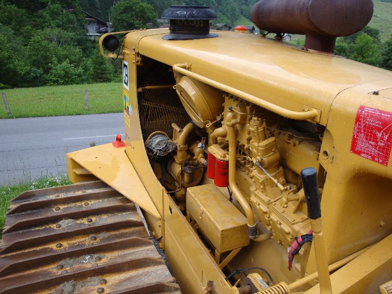 cat 594  (27).jpg