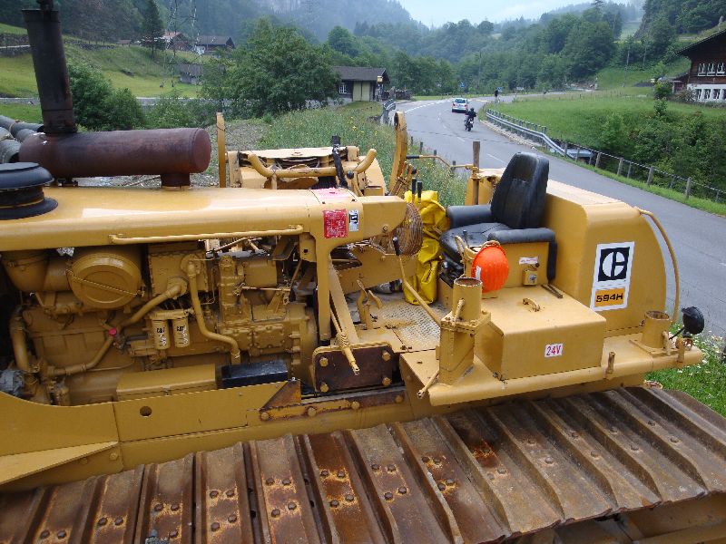 cat 594  (28).jpg