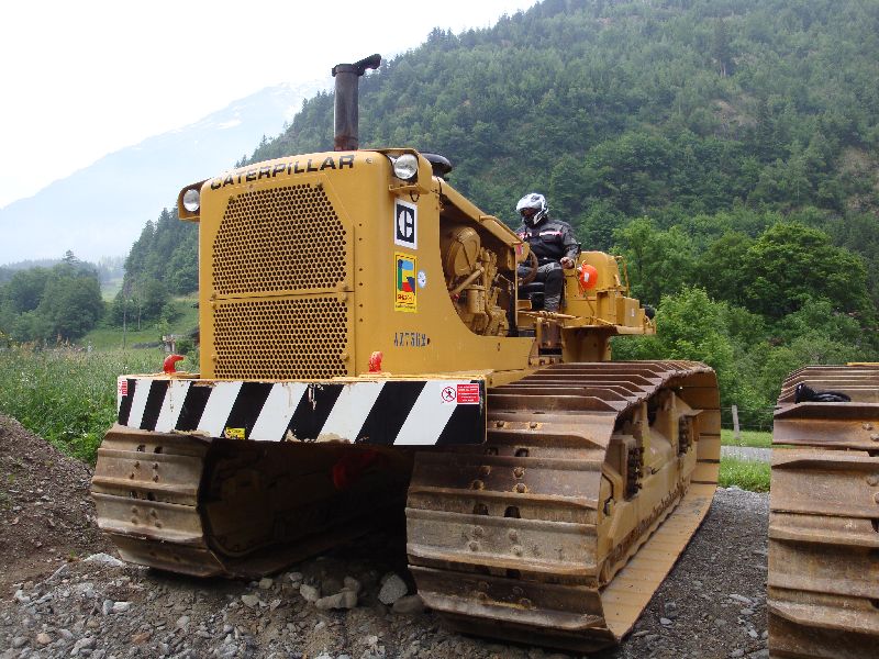 cat 594  (29).jpg