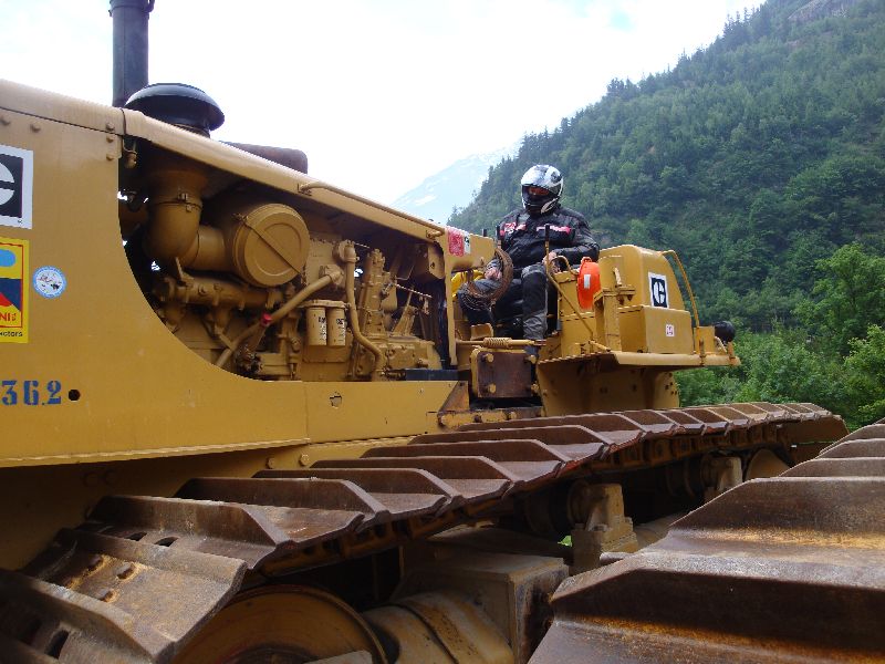 cat 594  (30).jpg